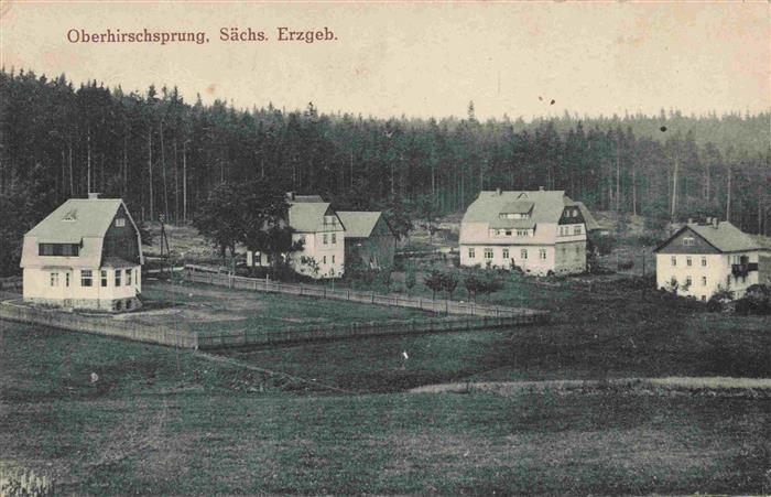 Oberhirschsprung Altenberg Sachsen Teilansicht