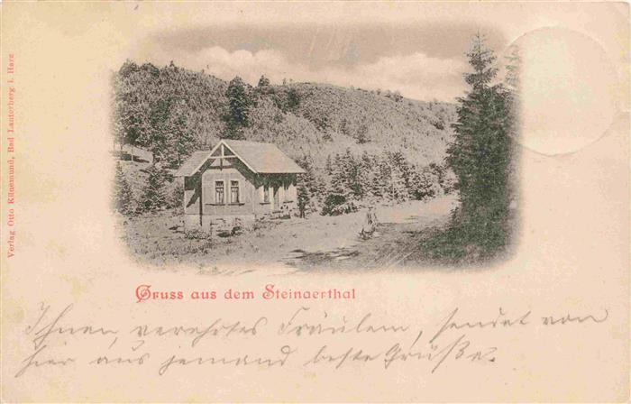 Steinaertal Steinaerthal Steina Bad Sachsa Suedharz Panorama