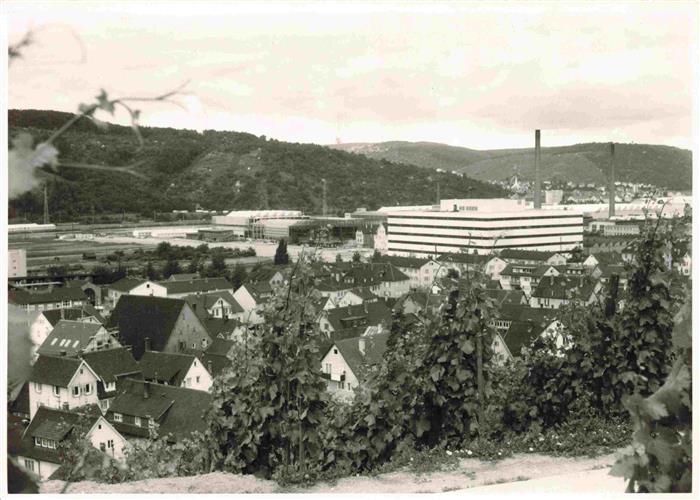 Mettingen Esslingen am Neckar Panorama