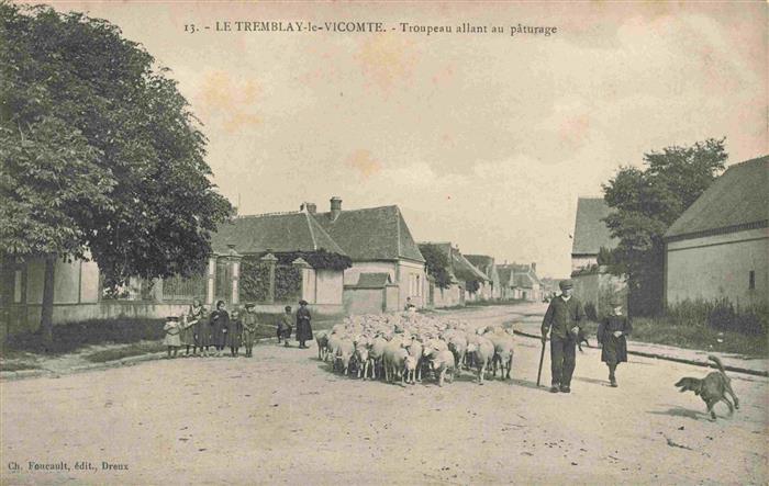 Le Tremblay-le-Vicomte Tremblay-les-Villages 28 Eure-et-Loir Troupeau allant au