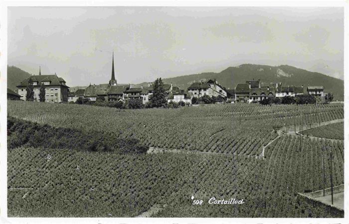 Cortaillod NE Panorama