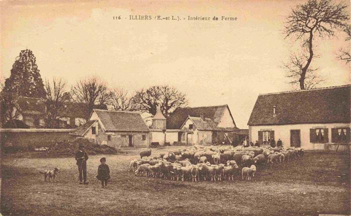 Illiers-Combray 28 Eure-et-Loir Intérieur de Ferme Bauernhof Schafherde