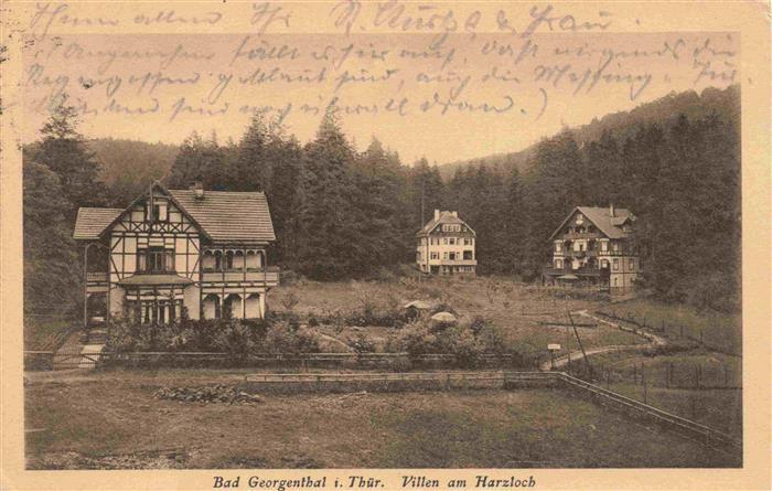 Bad Georgenthal Gotha Villen am Harzloch
