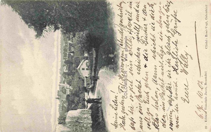 Colombier NE Vue générale