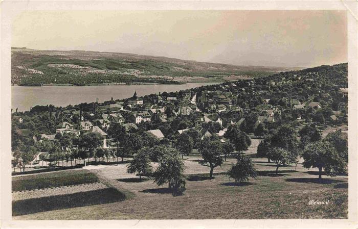 Beinwil See AG Panorama