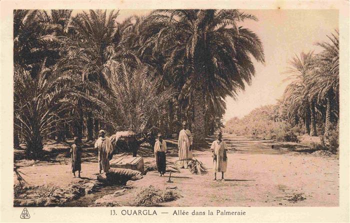 Ouargla Algerie Allee dans la Palmeraie