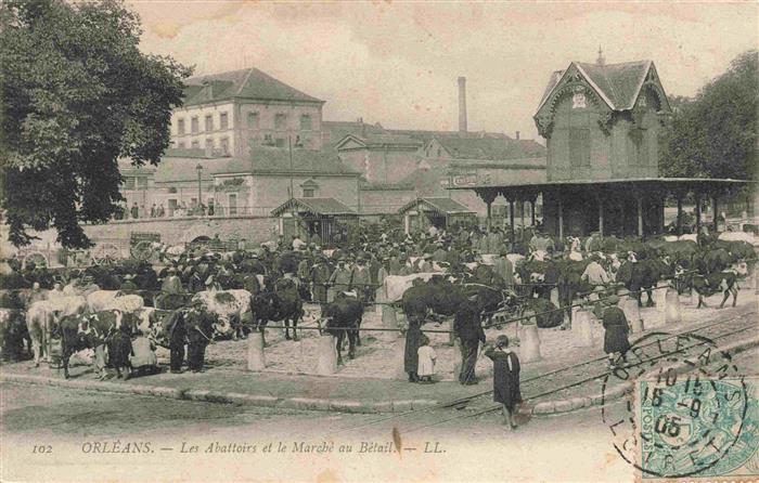 ORLEANS 45 Loiret Les Abattoirs et Marché au Bétail