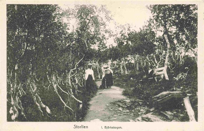 Storlien Sweden I. Bjoerkskogen