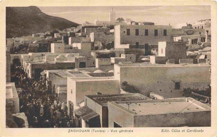 Zaghouan Tunesie Vue générale
