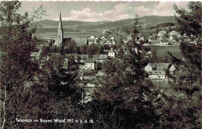Teisnach Regen Bayern Panorama Ansicht mit Kirche