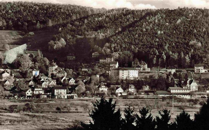 Bad Koenig Odenwald Panorama