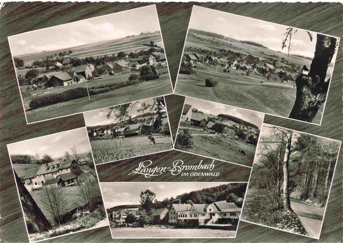 Langen Brombach Odenwald Hessen Panorama Waldpartie