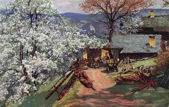 Prissian Prissiano Tesimo IT Obstbluete in Suedtirol
