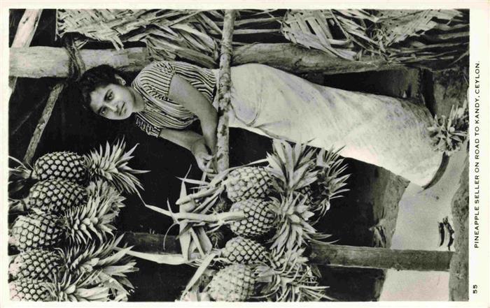 Kandy Ceylon Sri Lanka Pineapple Seller on Road to Kandy