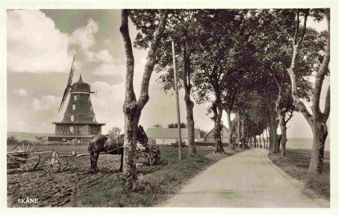 Skane Sweden Muehle Allee
