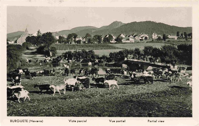 Burguete Pirineo-Navarro Pamplona Navarra ES Panorama