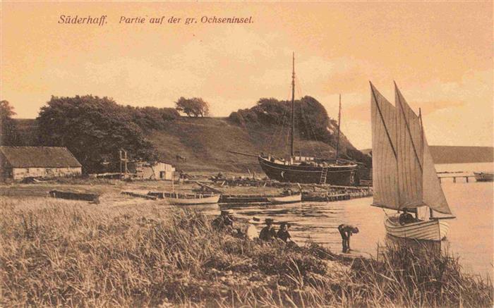 Suederhaff Sonderhav Juetland DK Partie auf der grossen Ochseninsel