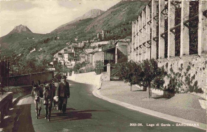 Gardesana Lago di Garda IT Strassenpartie Bauer mit Eseln
