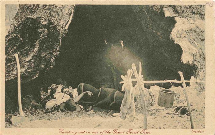 Australia Australien Camping out in one of the Giant Forest Trees