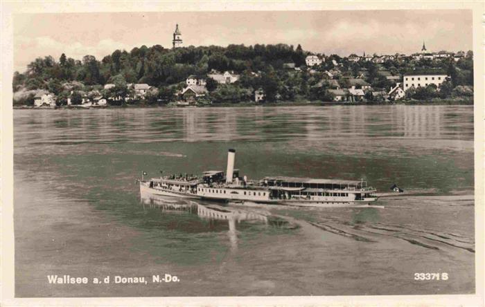 Wallsee-Sindelburg Donau AT Panorama Blick ueber die Donau Donaudampfer