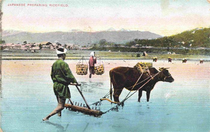 Japan Japanese preparing ricefield