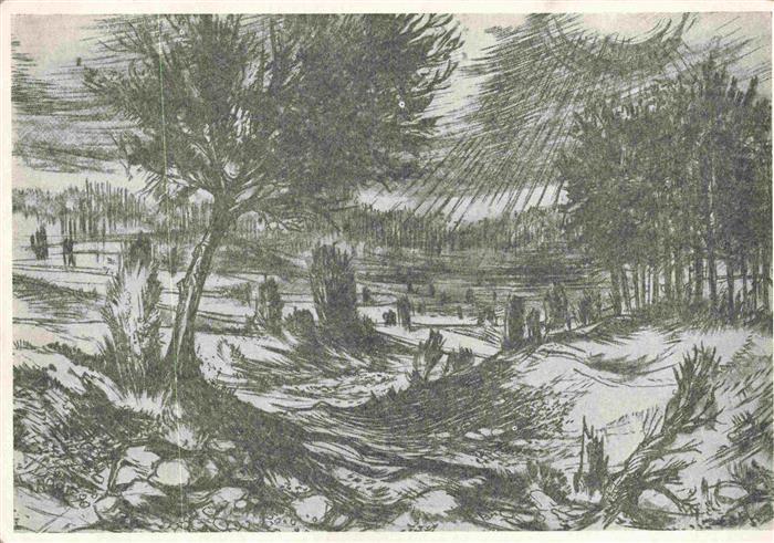 Uelzen Lueneburger Heide Hannover Heimatbilder aus Stadt und Kreis Uelzen Ellern