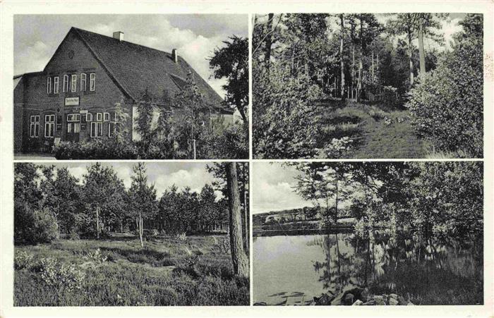 Heist Holstein Schleswig-Holstein Gasthof Pension Deutsches Haus Waldpartie
