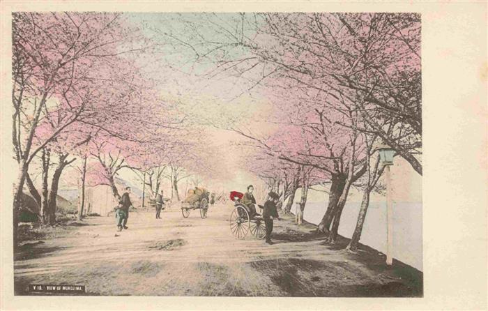 Mukojima Japan Allee