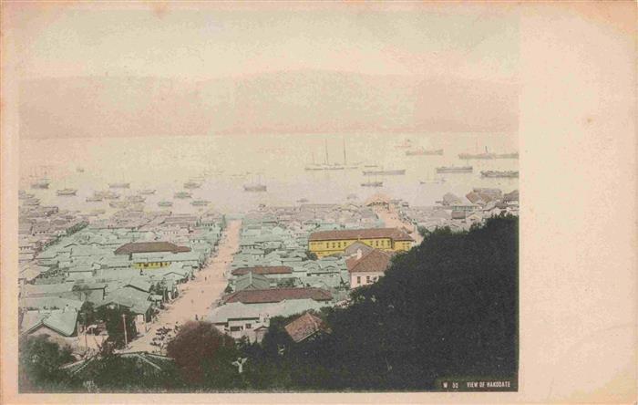 Hakodate Japan Panorama