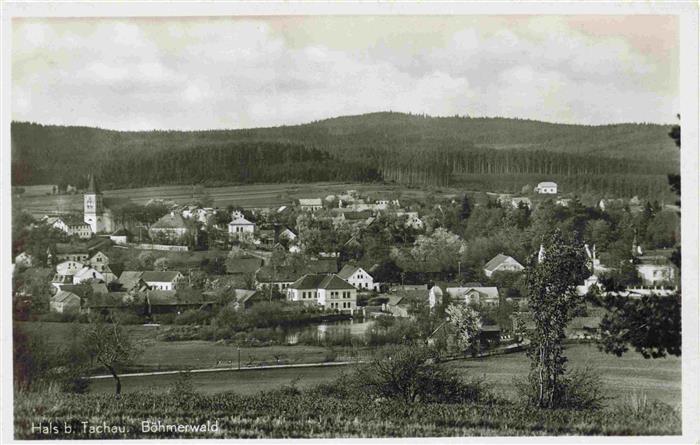 Hals Tachau Tachov CZ Panorama Boehmerwald