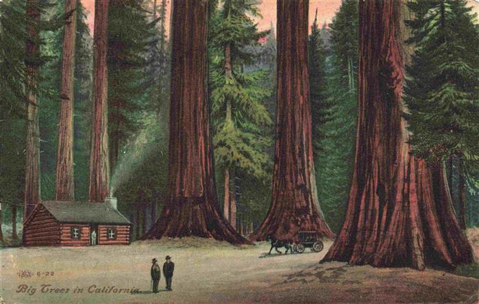 Kutschen Big Treas in california USA Idaho