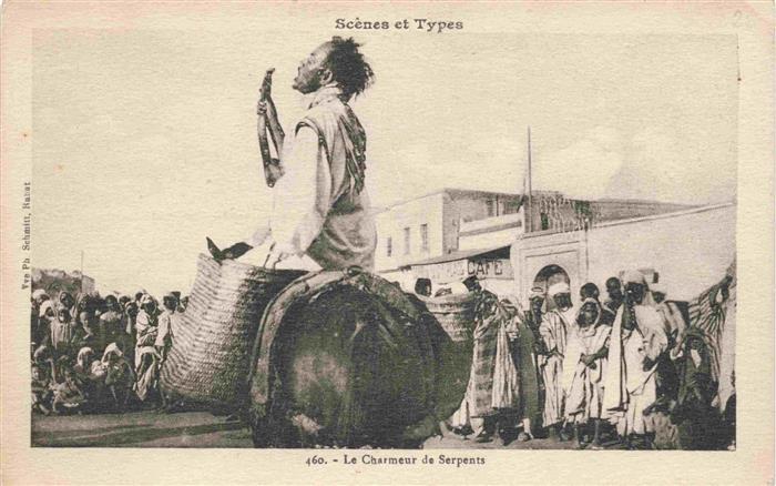 Schlangen Snake Serpent Serpiente-- Scenes Types Charmeur de Sepents