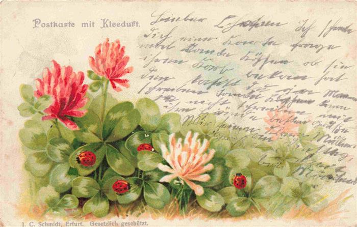 Marienkaefer Ladybug Coccinelle Mariquita Coccinella-- I.C.Schmidt Erfurt Klee L