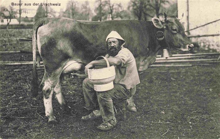 Bauernhof Bauer Urschweiz Kuh
