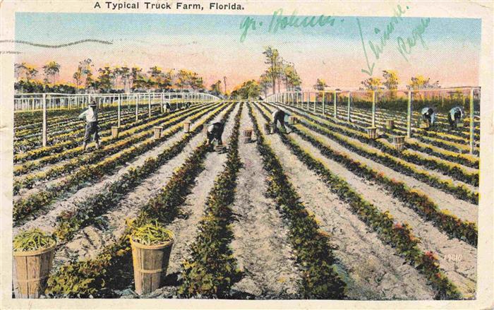 Landwirtschaft A Typical Truck Farm Florida