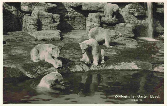 Zoo Gardin Zoologique-- Basel Eisbaeren