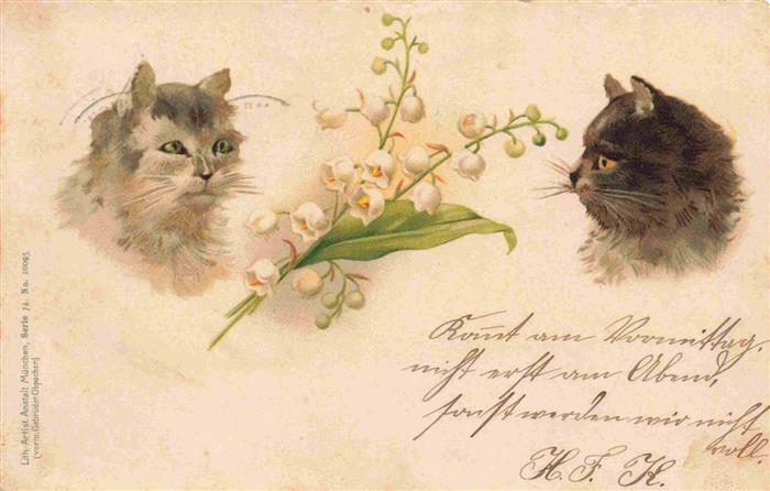Katzen Litho