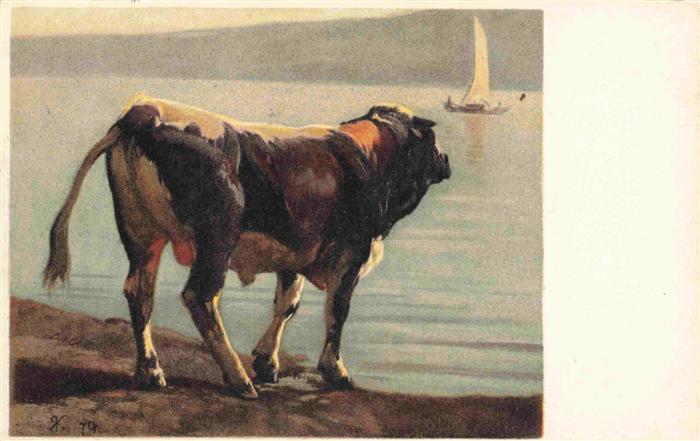 Koller Rudolf Kuenstlerkarte Schwarzfleck Stier