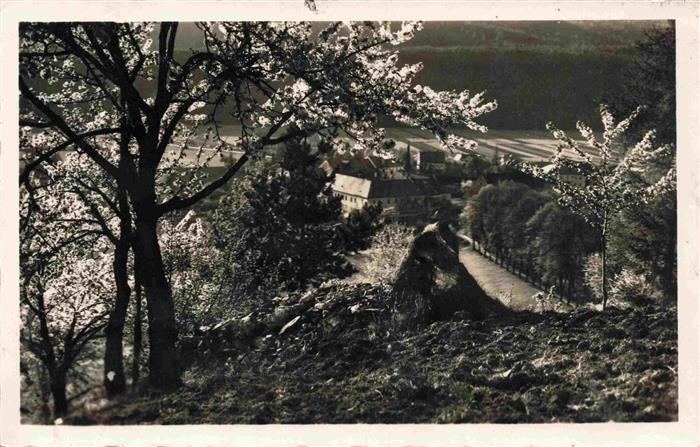 Eisenberg March Ruda n Moravou Sumperk Schoenberg CZ Teilansicht