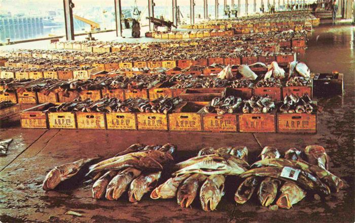 ABERDEEN  Scotland UK Fish Market