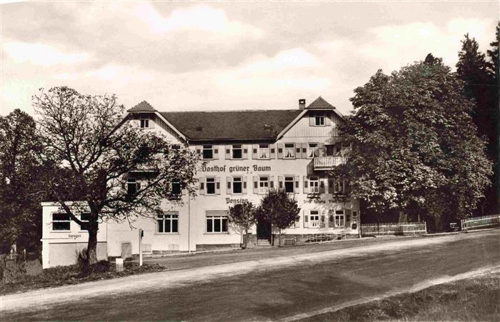 FREUDENSTADT BW Gasthof und Kurhaus Zum gruenen Baum