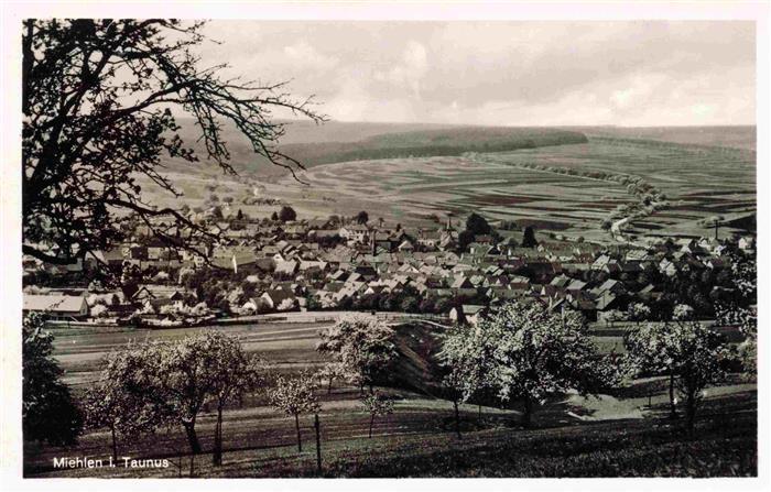 Miehlen Taunus Panorama