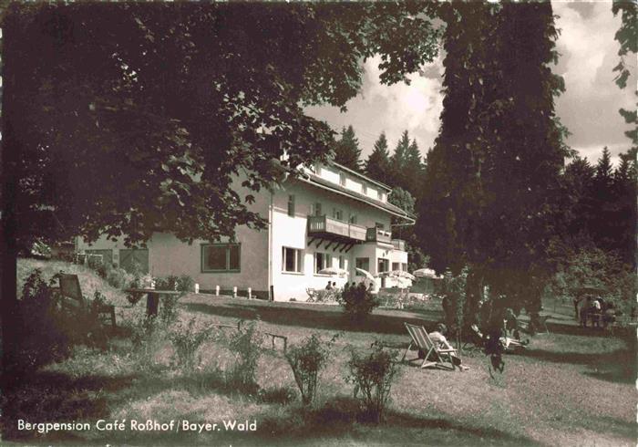 Geigant Waldmuenchen Cham Bayern Rosshof Bergpension und Cafe