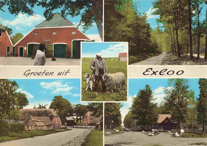 Exloo Scheune Waldpartien Schaefer