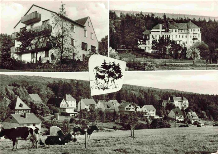 Wenzigerode Bad Zwesten Hessen Cafe Friedrich Panorama