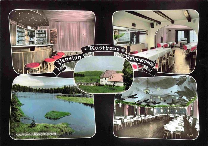 Roetz Niederbayern Pension und Rasthaus Boehmerwald Bar Badesee Saal Gastraum