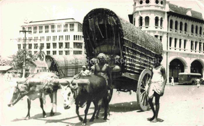 Ceylon  SRI LANKA Double Bullock Cart