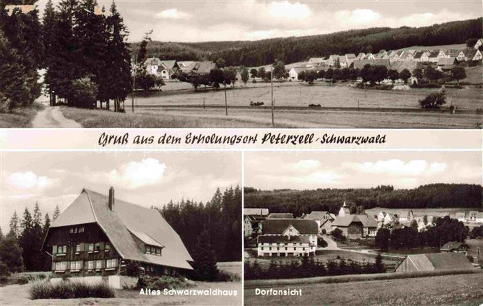 Peterzell St Georgen Schwarzwald Panorama Altes Schwarzwaldhaus Dorfansicht