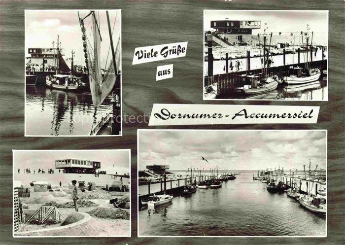 Dornumer Accumersiel Cafe Restaurant Strandhalle Hafenpartien