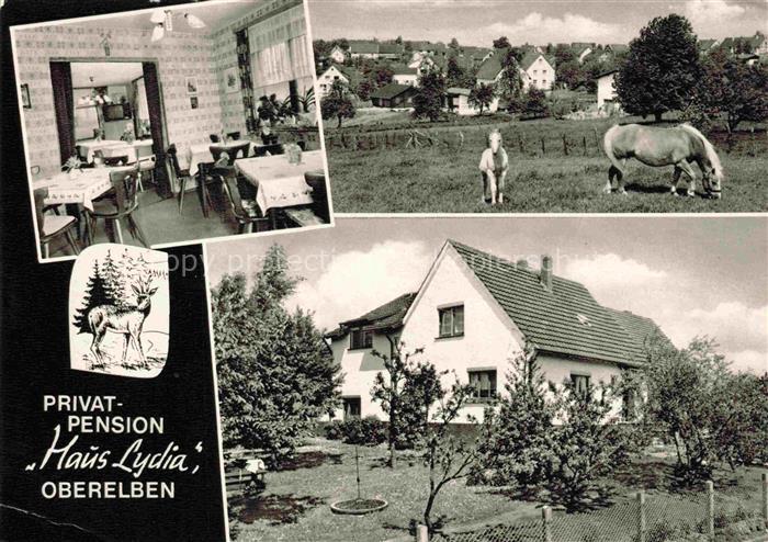 Oberelben Nuembrecht NRW Pension Haus Lydia Gaststube Panorama